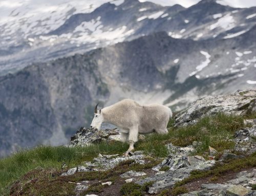 What Kind of Life Are You Training For? (Part 2)