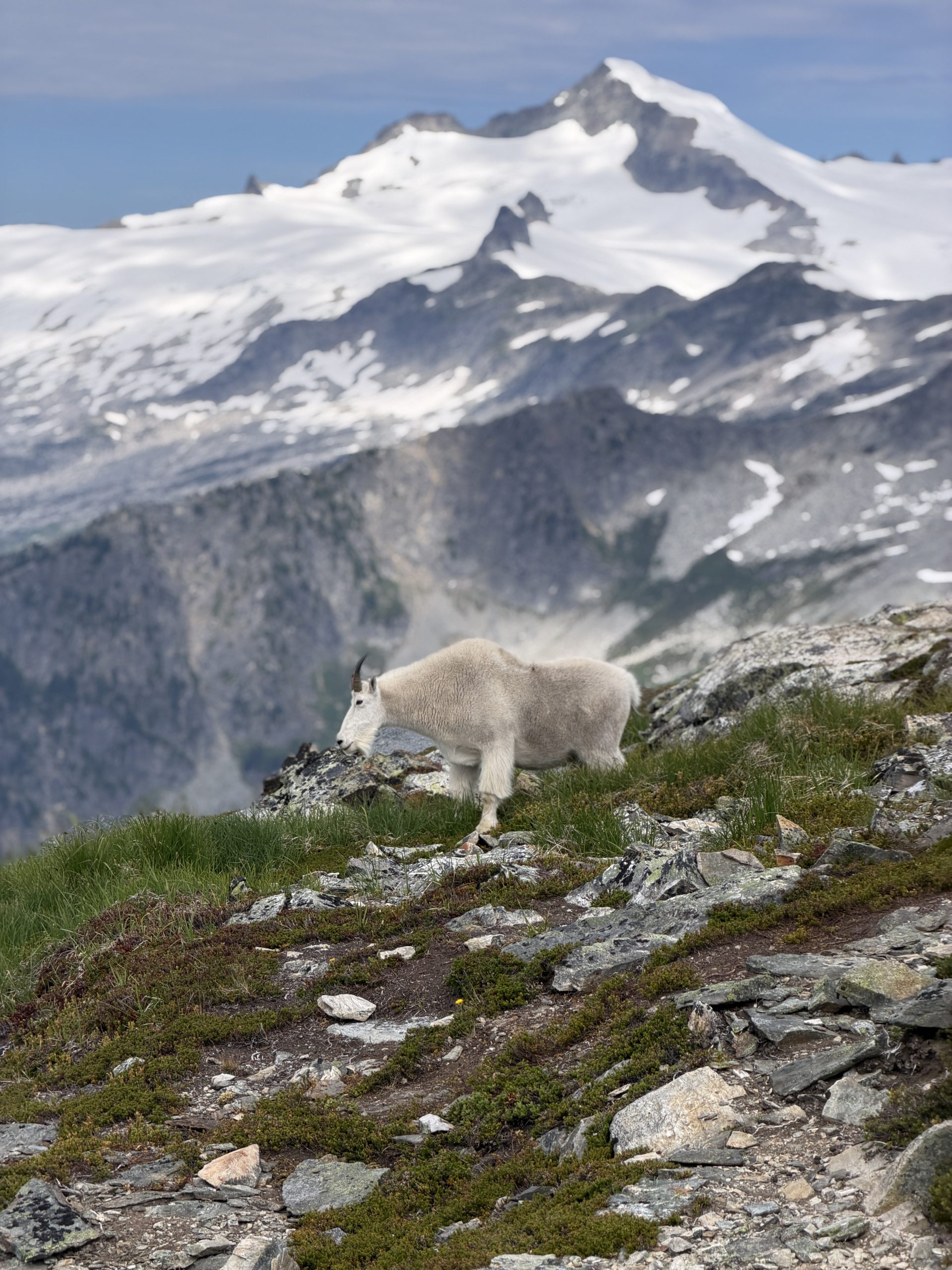 IMG_1162